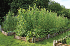 Le jardin des utopies