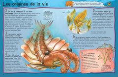 La préhistoire