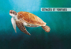 Guide des poissons de la Méditerranée