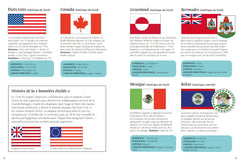 Drapeaux du monde - Petits guides Usborne - Dès 7 ans