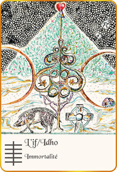 L'Ogham du bois sacré - Cartes Oracle