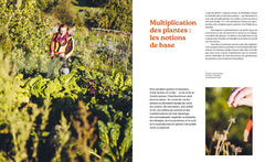 De la plante à la graine