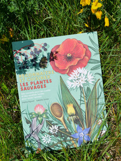 Reconnaître et cuisiner les plantes sauvages