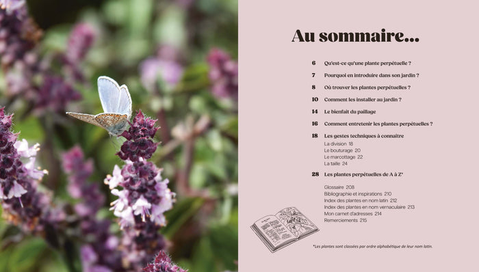 Mon potager perpétuel