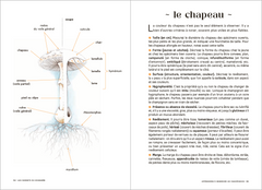 Les Carnets du Scarabée - Champignons