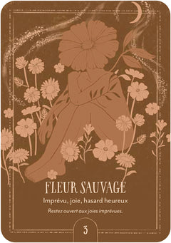 Coffret Oracle du chant de la terre