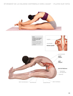 Exercices de Pilates pour débutants