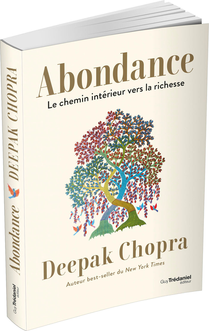 Abondance - Le chemin intérieur vers la richesse