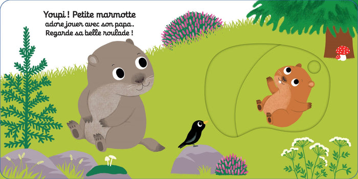 Bonne nuit, petite marmotte !