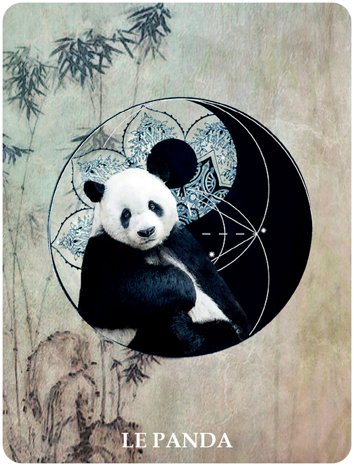 60 cartes de communication animale