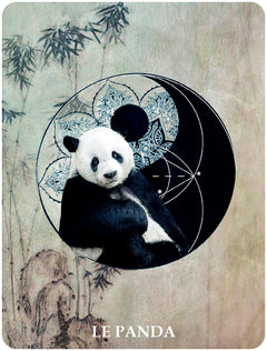 60 cartes de communication animale