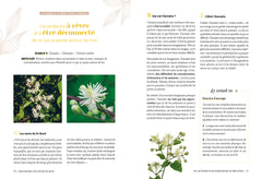 Mon manuel des fleurs de Bach