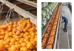 L'Orange en parfumerie
