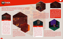 Minecraft - Le grand livre des trucs et astuces - Spécial Biomes