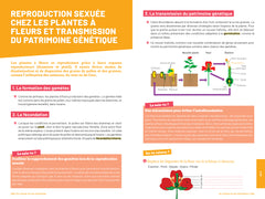 Savoirs fondamentaux 5e - Toutes les matières