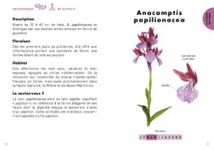 Le Petit guide des orchidées