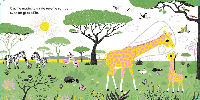 Promenade dans la savane