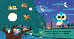 Petite chouette dans la nuit