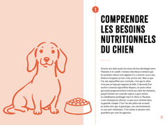 Que mettre dans la gamelle de mon chien ? - Tout savoir sur la nutrition canine pour faire les bons choix