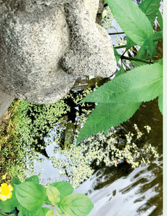 jardins de senteurs - projets aromatiques et secrets de parfumerie