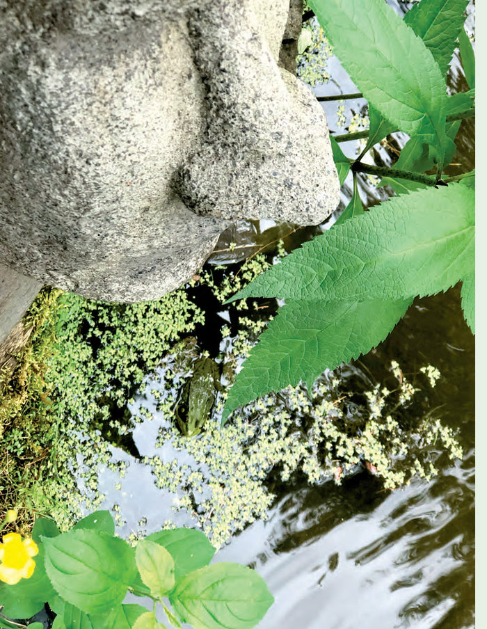 jardins de senteurs - projets aromatiques et secrets de parfumerie