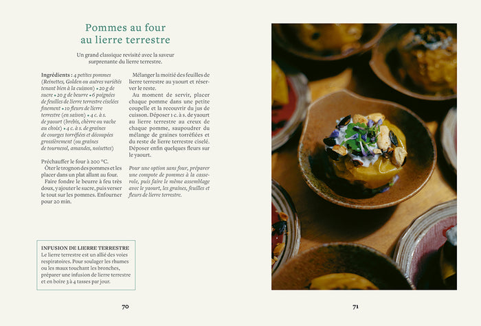 Cuisiner les plantes sauvages du jardin