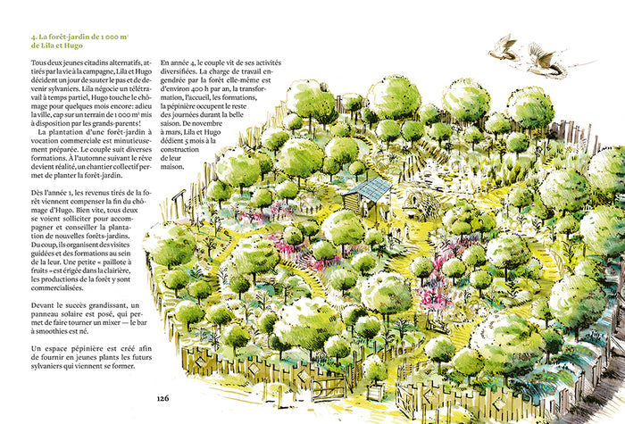 Créer une mini forêt-jardin