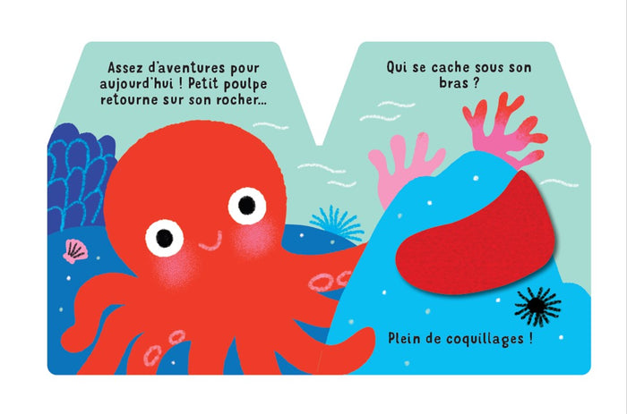 Cache-cache petit poulpe