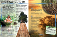 Les forêts tropicales