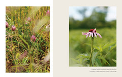Les bonnes plantes - Une approche moderne de l'herboristerie