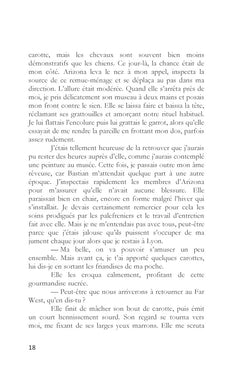 L'aventure au galop - T2