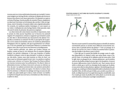L'intelligence des plantes - Sensibilité, communication, apprentissage, personnalité... Quand la science bouscule nos préjugés