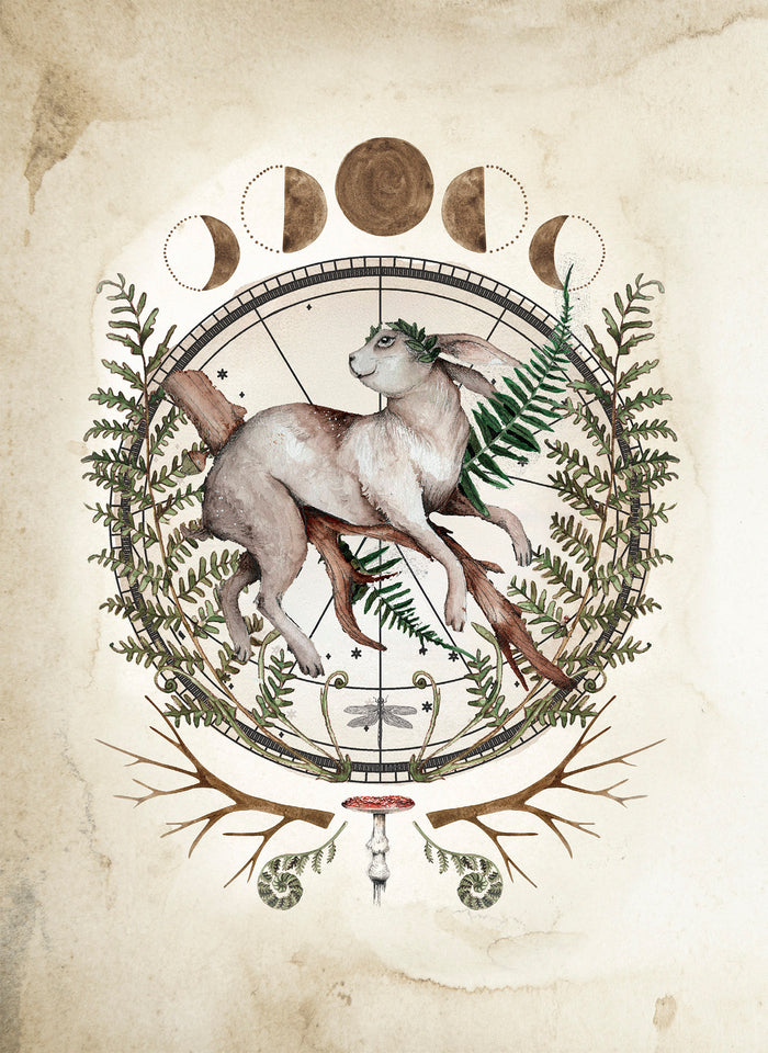 Le Forestarium - Mythes, légendes et explorations au coeur de la forêt