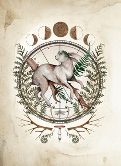 Le Forestarium - Mythes, légendes et explorations au coeur de la forêt