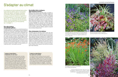 Une année au jardin avec un dingue de plantes