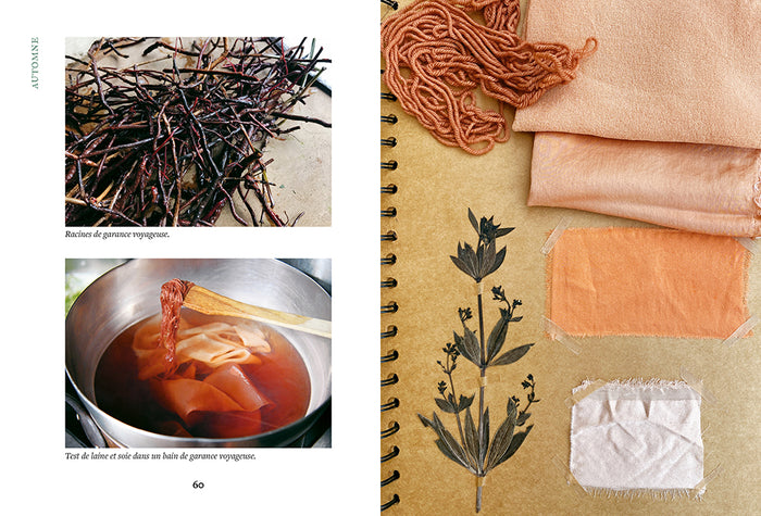 Teindre avec les plantes