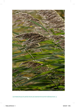 La phytoépuration