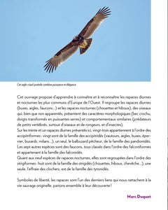 Rapaces
