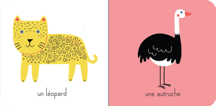 Ma boîte à trésors - Les animaux