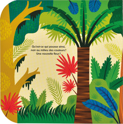 Cache-cache dans la jungle !