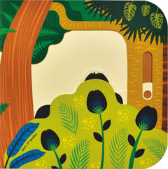 Cache-cache dans la jungle !