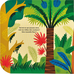 Cache-cache dans la jungle !