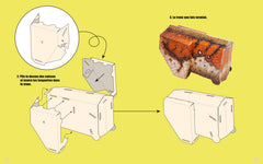 T-Rex - Construis ton dinosaure géant en 3D