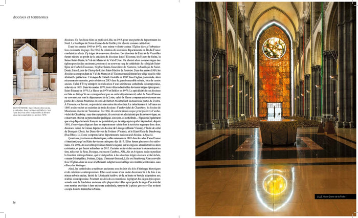 La grâce des cathédrales - Trésors des régions de France