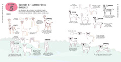 Tout dessiner comme par magie - Les motifs