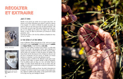 Récolter et semer ses graines potagères