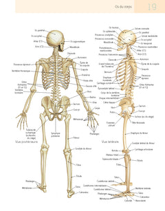 Pilates et anatomie