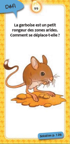 Quiz des animaux