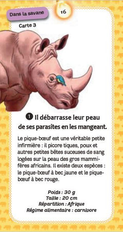 Quiz des animaux