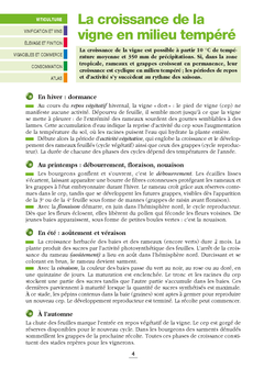Les vins de France et du monde